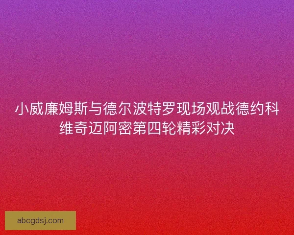 小威廉姆斯与德尔波特罗现场观战德约科维奇迈阿密第四轮精彩对决