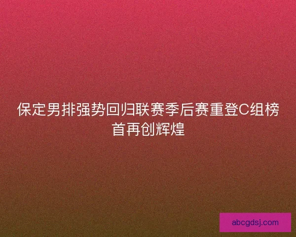 保定男排强势回归联赛季后赛重登C组榜首再创辉煌