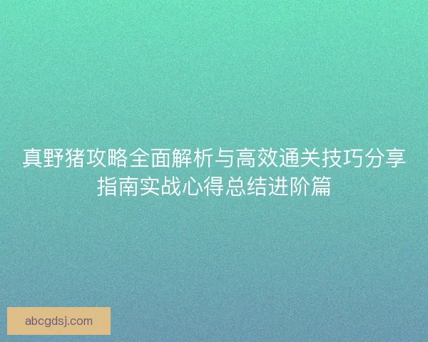 真野猪攻略全面解析与高效通关技巧分享指南实战心得总结进阶篇